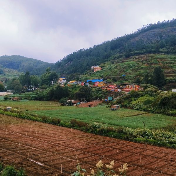 WhatsApp Image 2025-03-24 at 1.56.11 PM